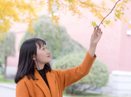 必看！柬埔寨电子签证申请步骤！